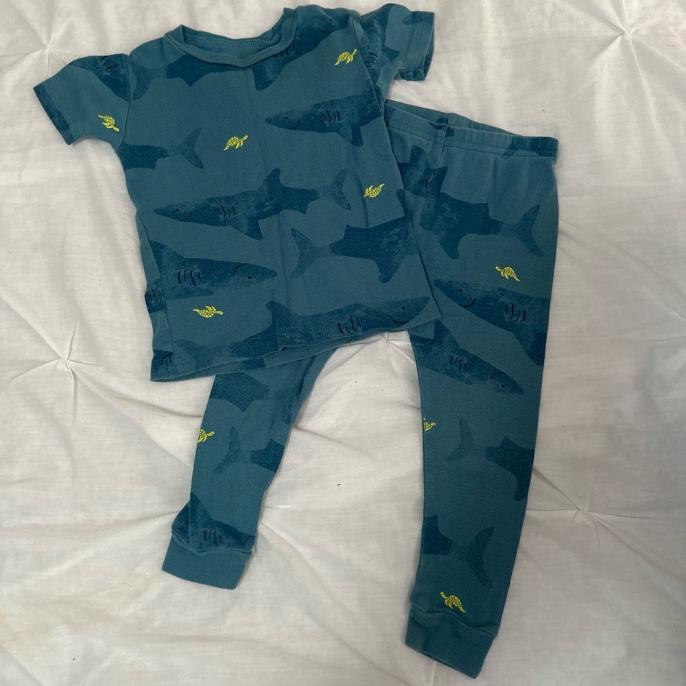 Carter’s Shark and Turkey PJ Set